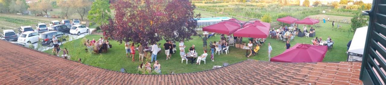Agriturismo Calendiluna Luni Ngoại thất bức ảnh
